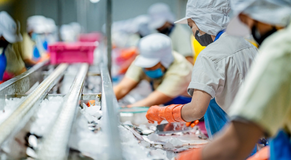 Poland blocks 66,000 kg of Chinese pollock fillets over suspected commercial fraud