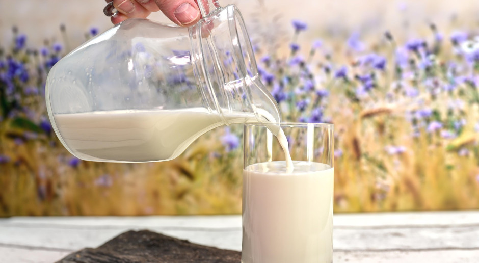 Poland Takes Nearly 25% of Ukraine’s June Skimmed Milk Powder Exports