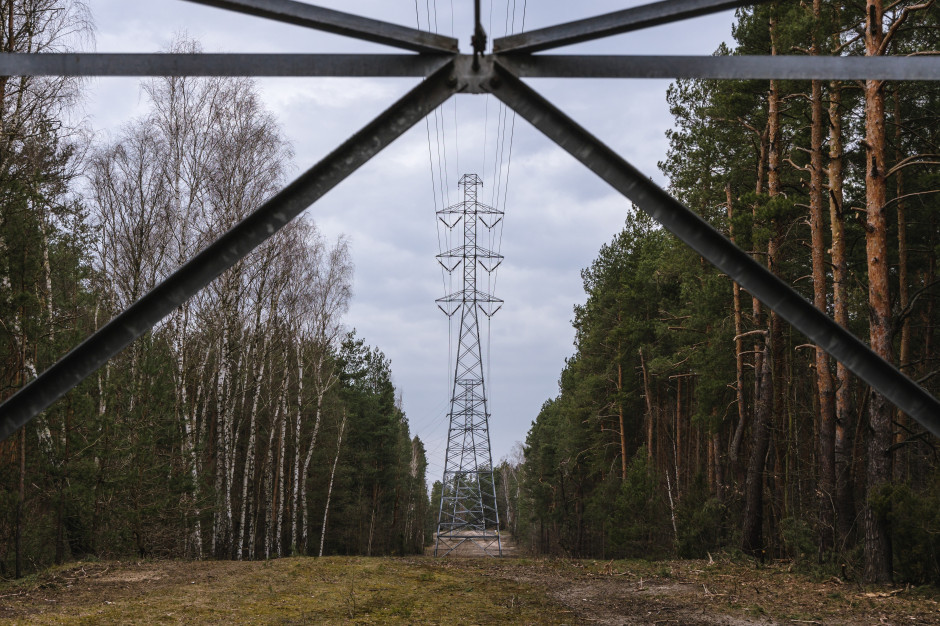 Polish cable maker FPE secures PLN 445.35 million framework contract from PSE