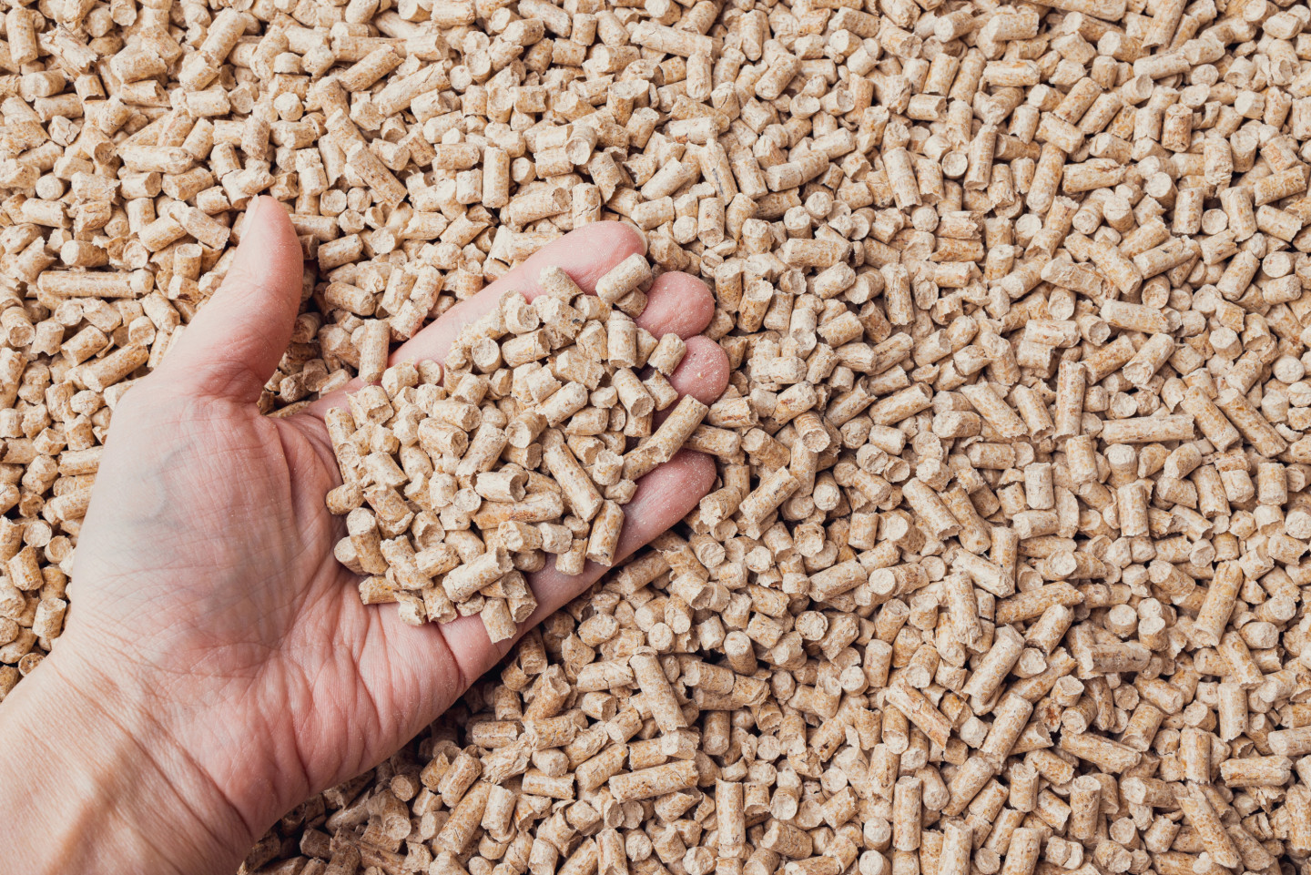 Polish demand tightens Latvia’s wood pellet supply as winter approaches