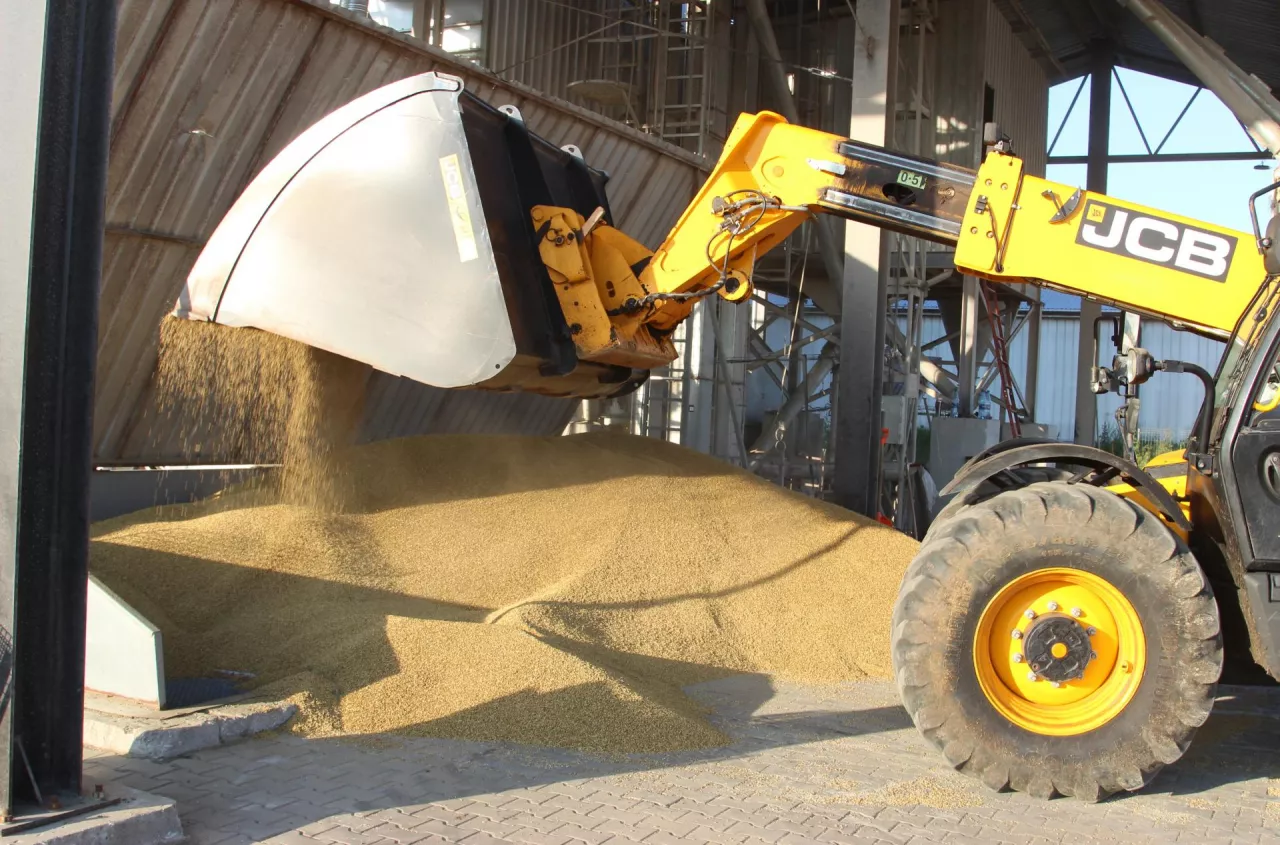 Polish feed barley prices fall to levels last seen nearly 20 years ago