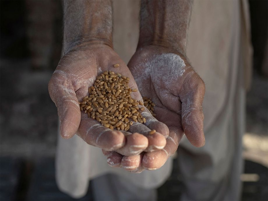Punjab permit dispute threatens flour shortage in Rawalpindi and Islamabad