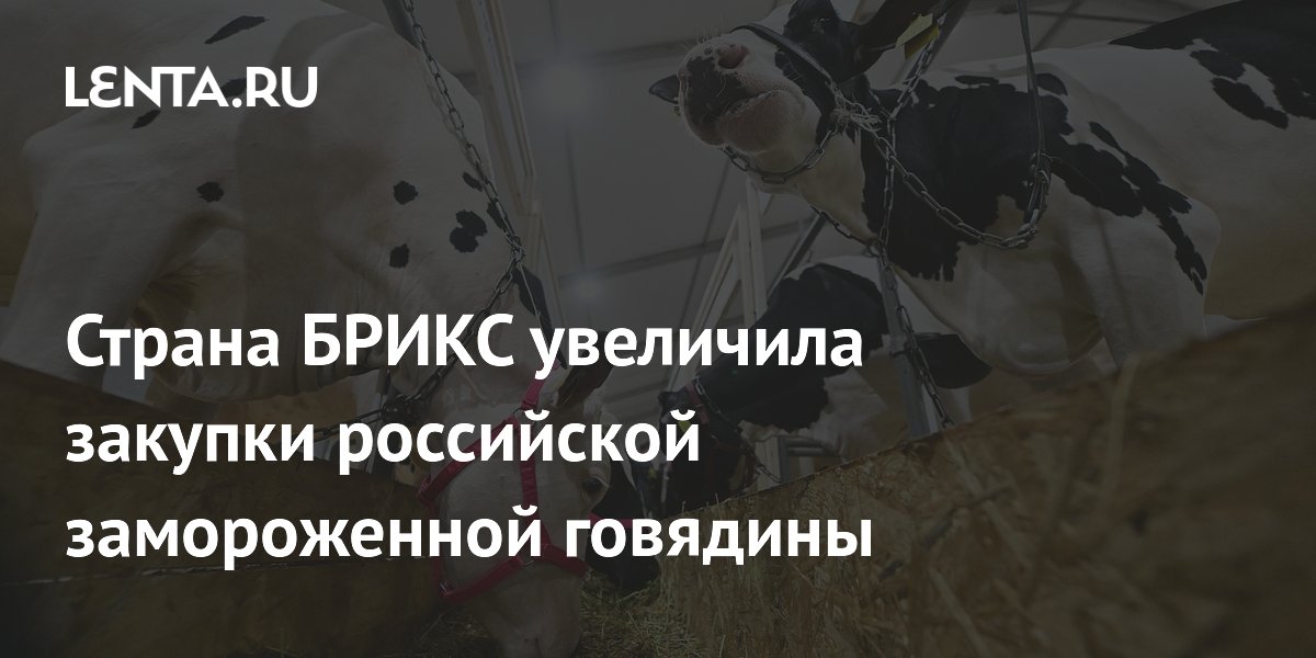 Russia’s frozen beef exports to China rise 40% to $68.7 million