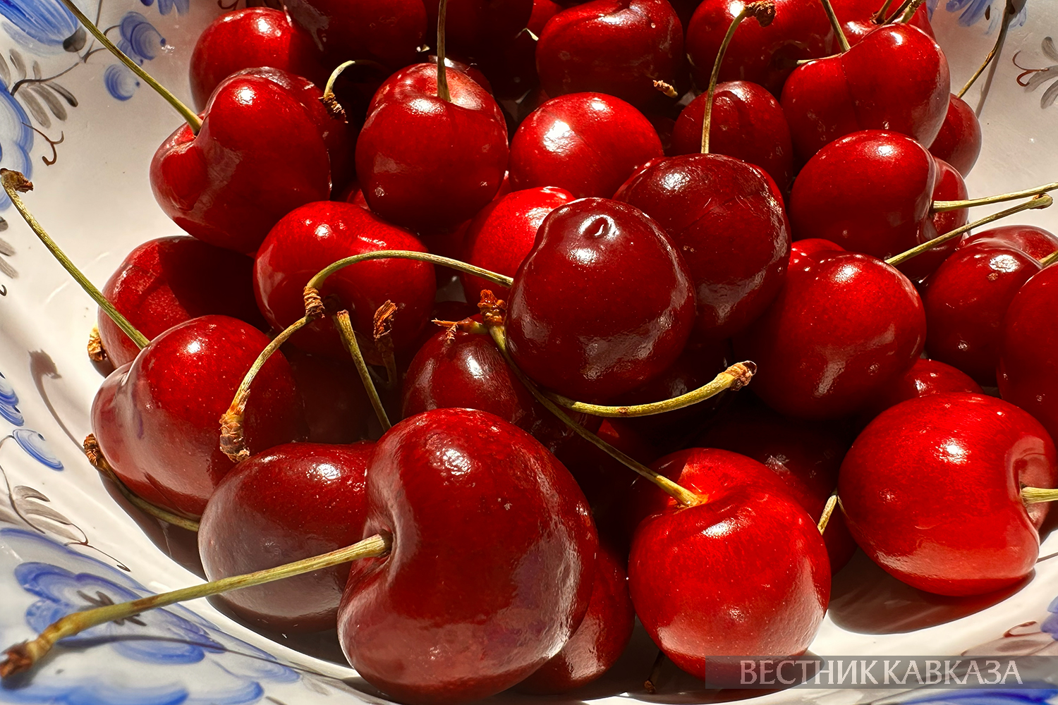 Russia’s cherry imports from Georgia reach record $606,800 in June