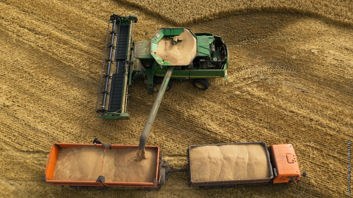 Russia keeps wheat, barley and corn export duties at zero from July 22