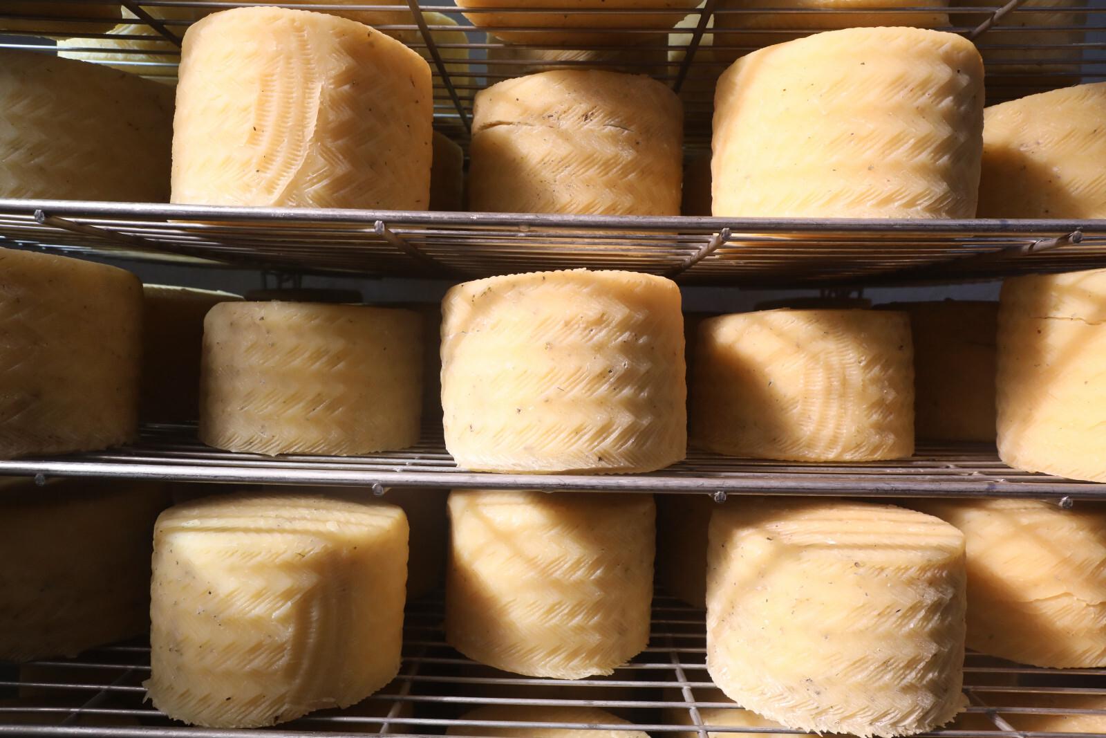 Rusia aprueba nuevas normas GOST para lácteos y endurece las reglas para yogur infantil, leche, mantequilla y queso blando