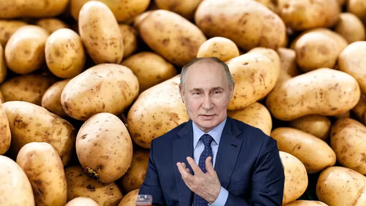 Russia lifts ban on Punjab potatoes, clears 101 Pakistani exporters