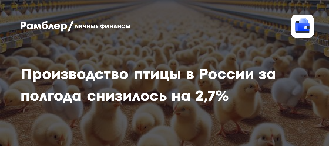 Russian poultry output falls for second straight month as weak margins drive herd cuts
