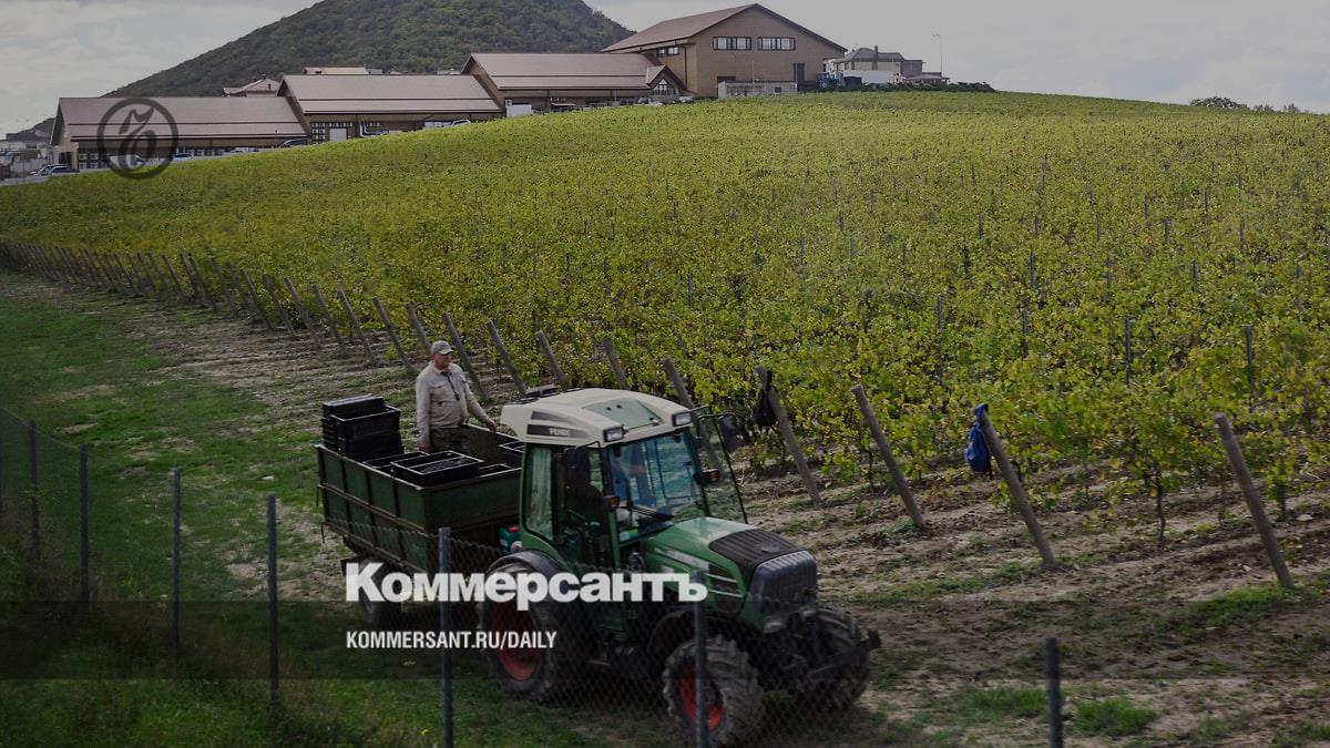 Russian wine output falls as demand shifts toward Chile, South Africa and Argentina