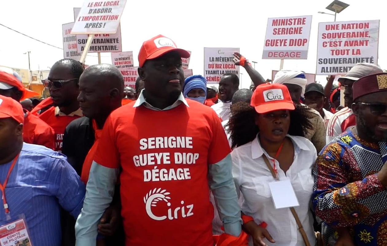 Senegal River valley rice growers march at Ross Béthio over unsold stocks, demand minister's resignation