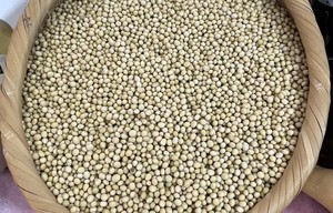 South Korea to expand soybean tariff quota by 10,000 tons to steady prices