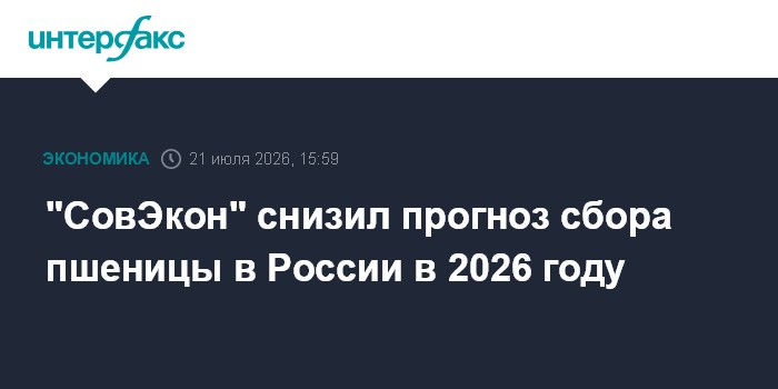 SovEcon cuts Russia’s 2026 wheat harvest forecast to 88.3 million tonnes