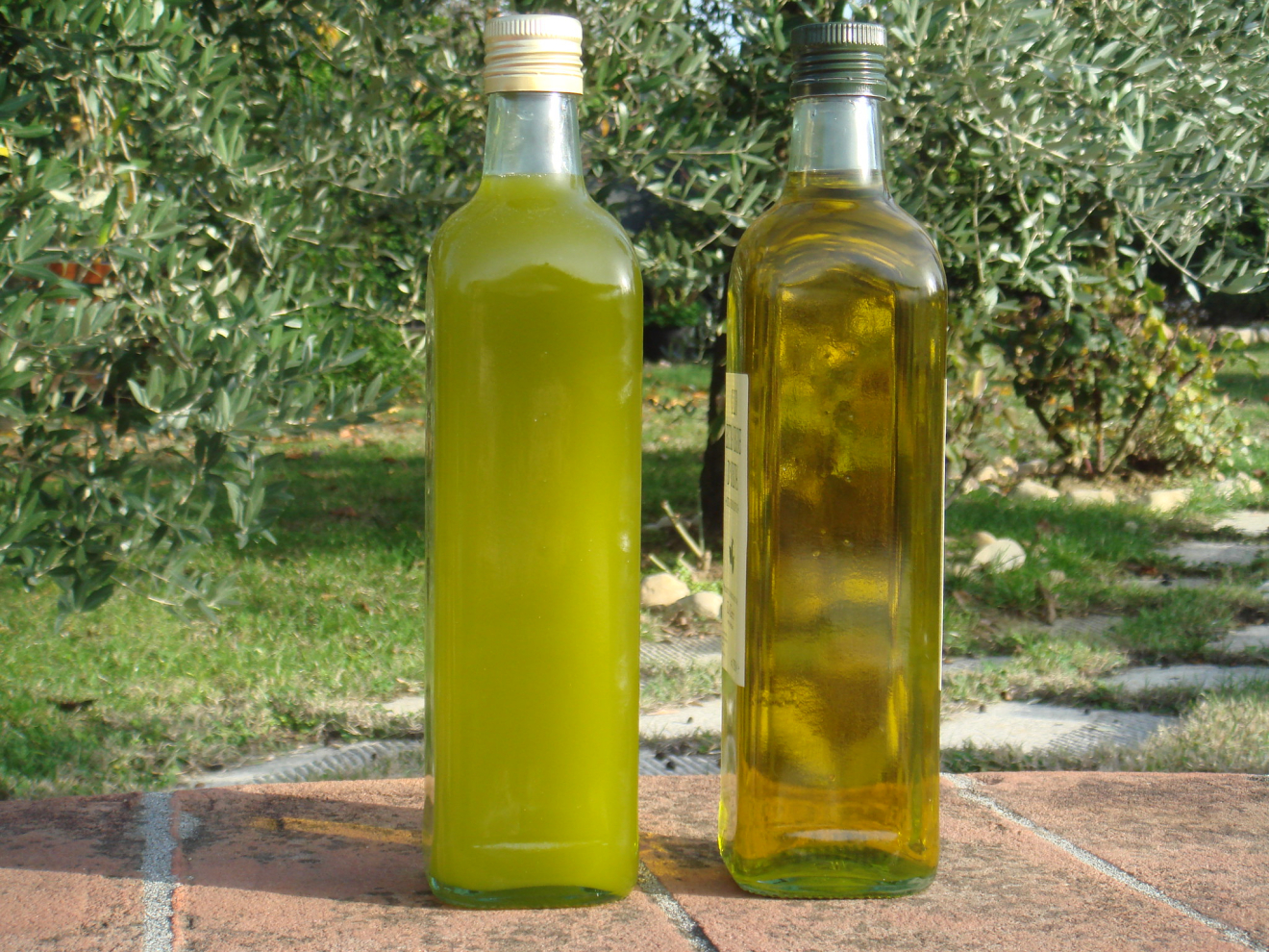 Spain dominates Slovakia's import-only olive oil market as extra virgin hits 78%