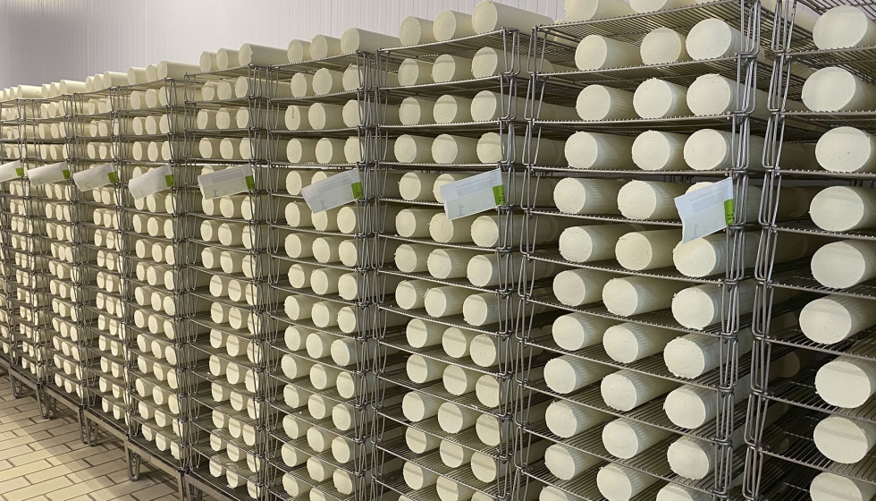Spanish dairy industry warns falling sheep and goat milk output threatens cheese supply