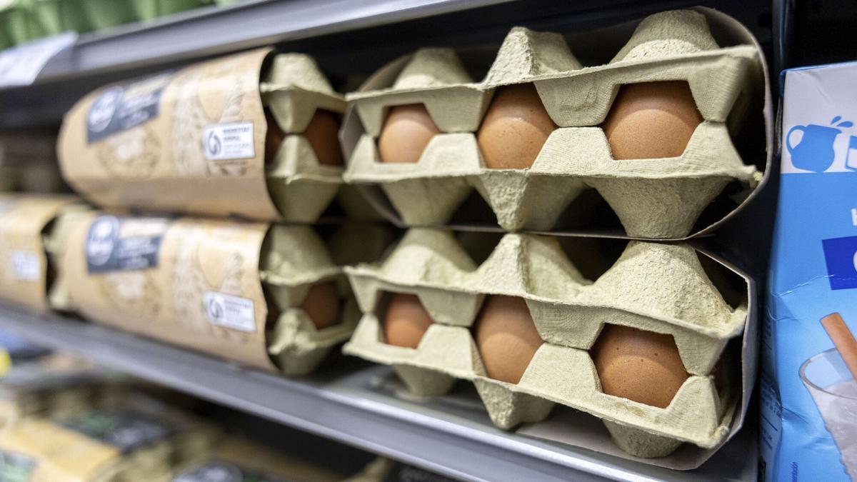 Spanish egg prices fall 30% as avian flu pressure eases