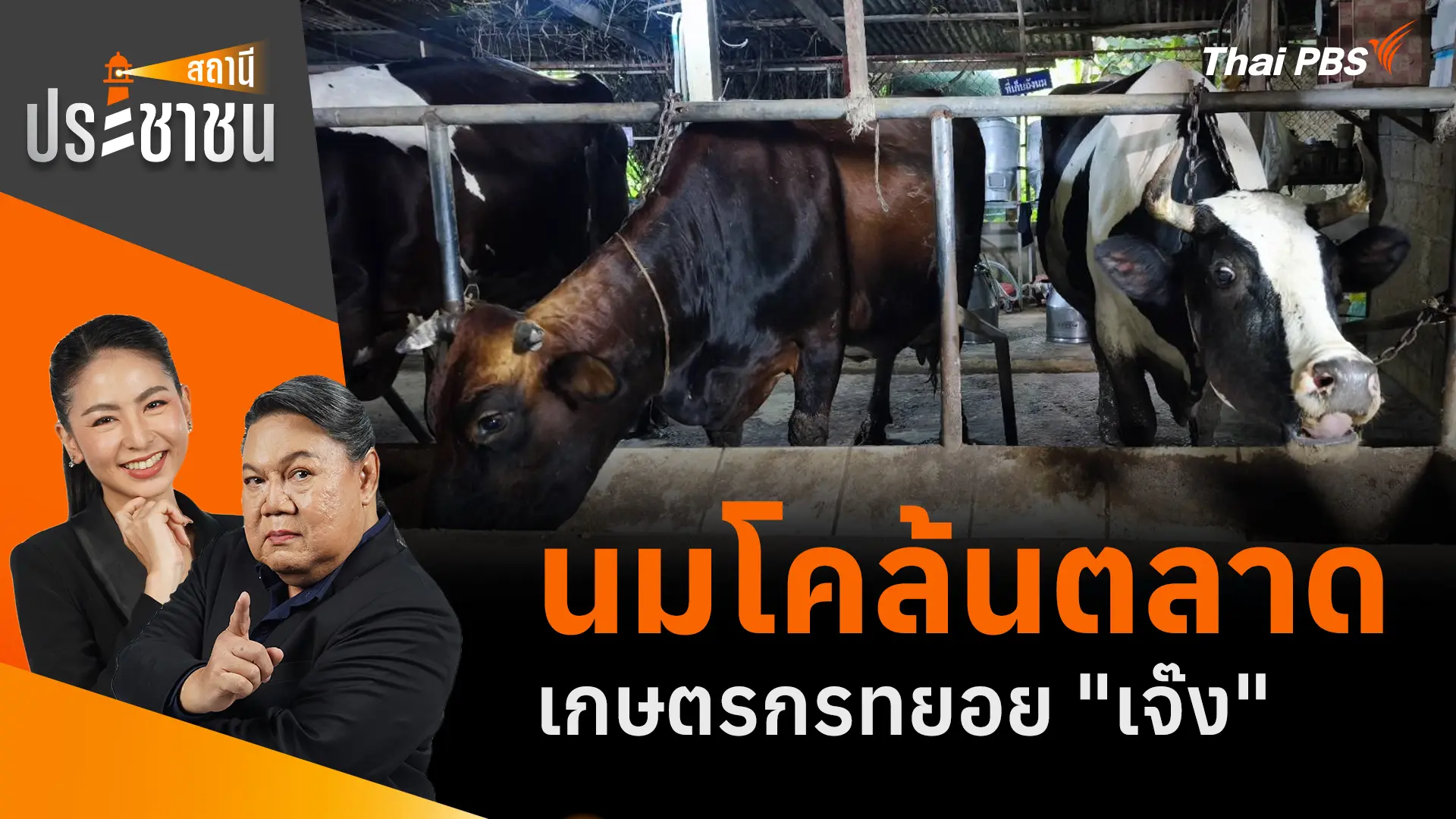 Thai dairy cooperatives rally over raw milk glut and falling prices
