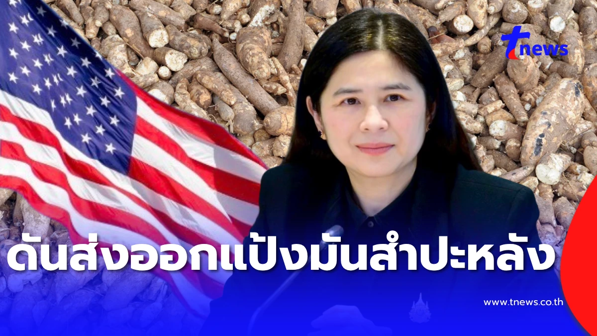 Thailand launches trade mission to expand cassava starch exports to the United States