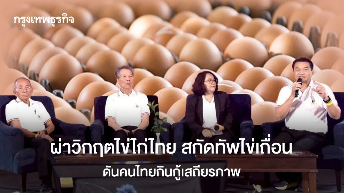 Thailand's egg industry battles smuggling and rising costs