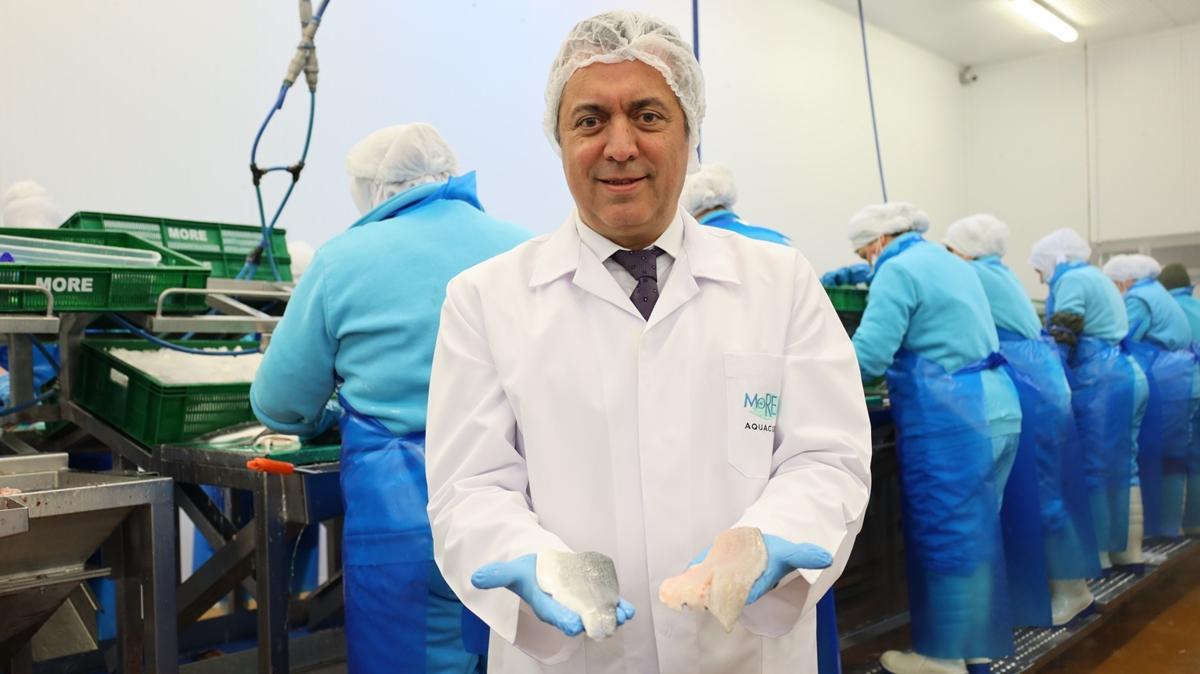 Turkey’s seafood and animal-product exports exceed $1.9 billion in H1 2026