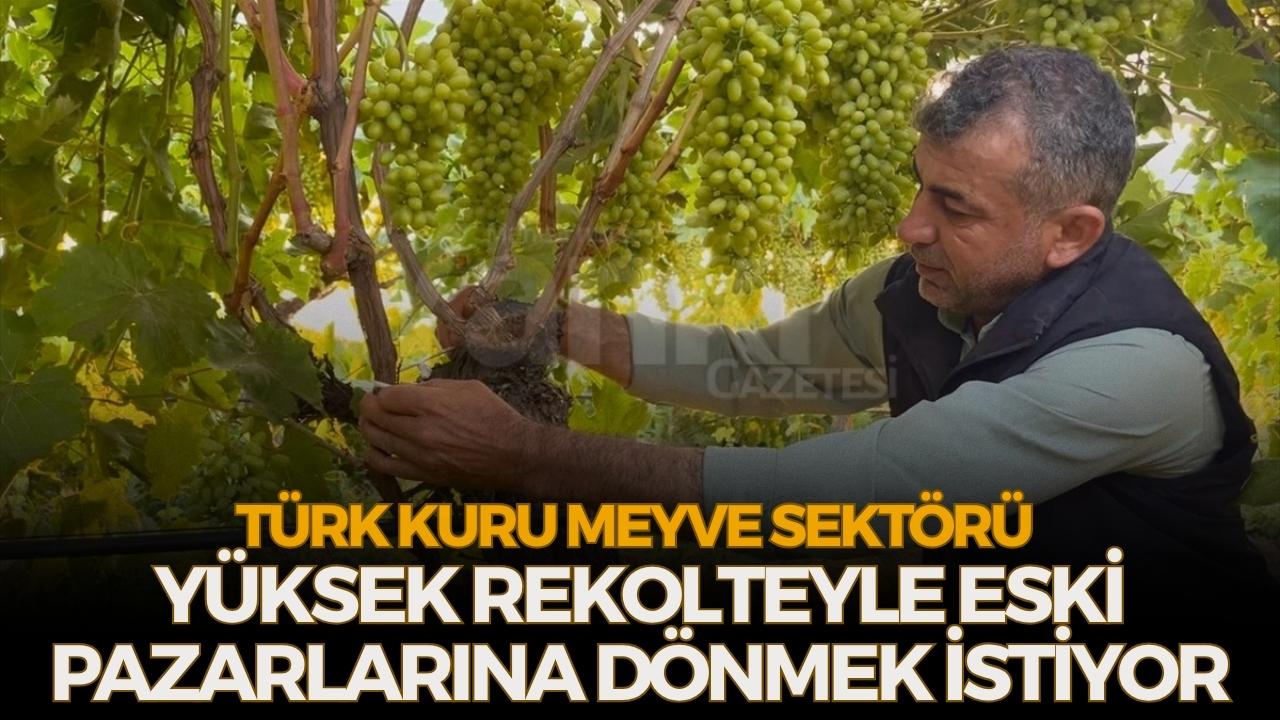 Turkish dried fruit exporters target lost markets as 2026 crop outlook improves