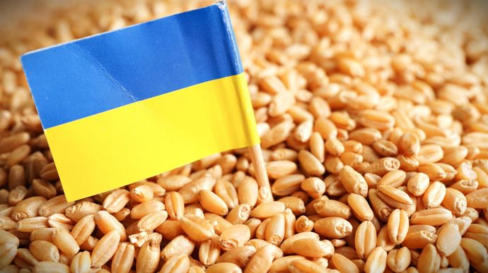 Ukraine's 2026 grain harvest opens with sharply higher wheat and corn yields