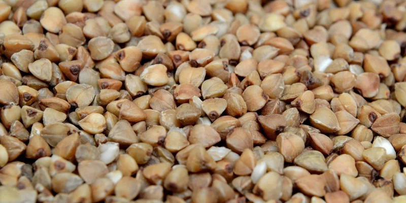 Ukraine buckwheat prices surge over 40% since March as poor harvest raises import prospect