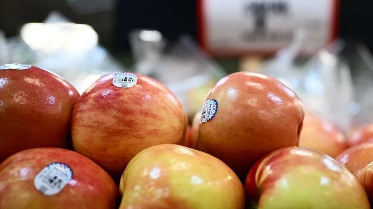 US agricultural exports to Vietnam rise as market access improves