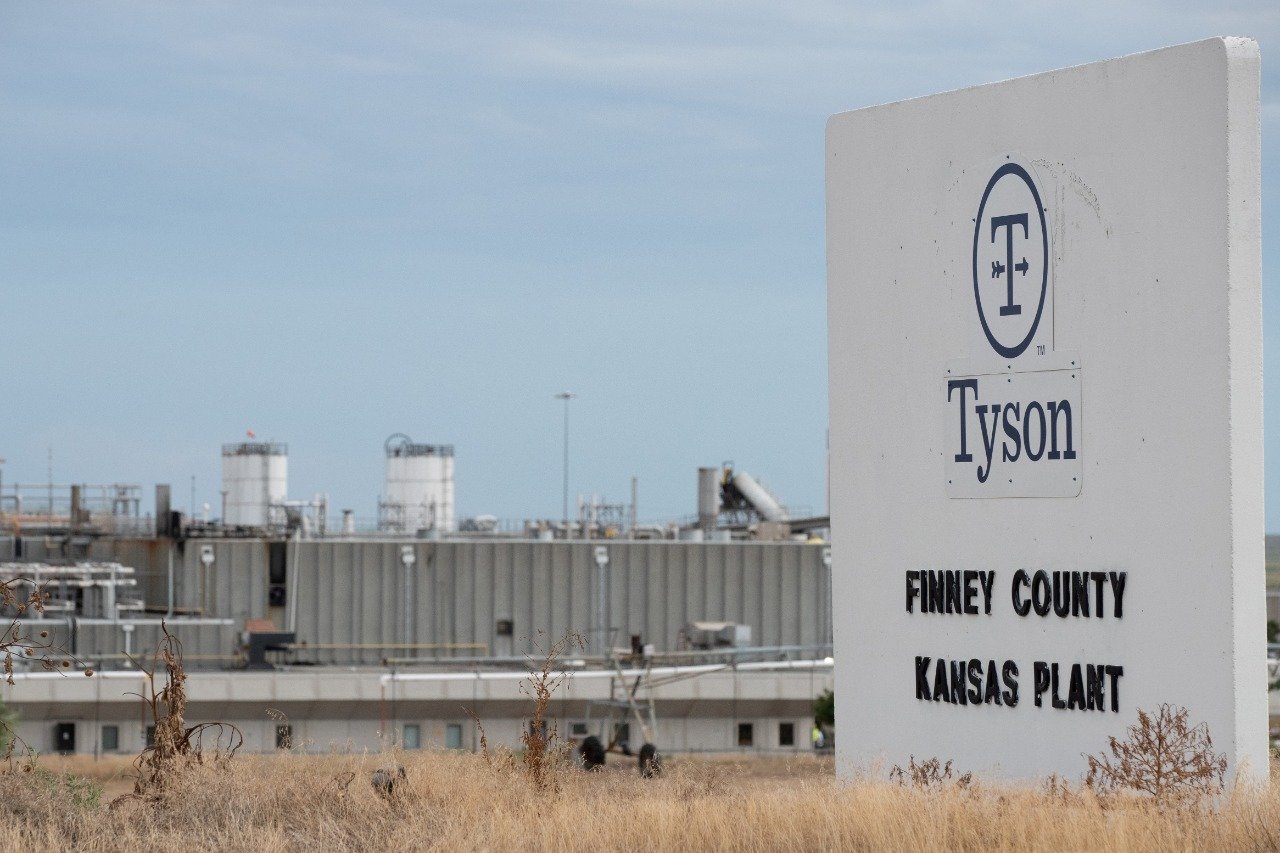 US cattle shortage deepens beef losses as BTG keeps sell rating on Tyson