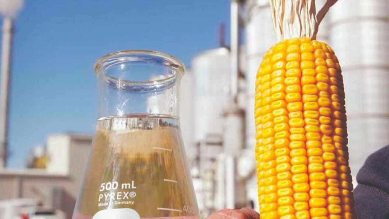 US Corn Ethanol Emerges as Central Flashpoint in Brazil-US Trade Dispute