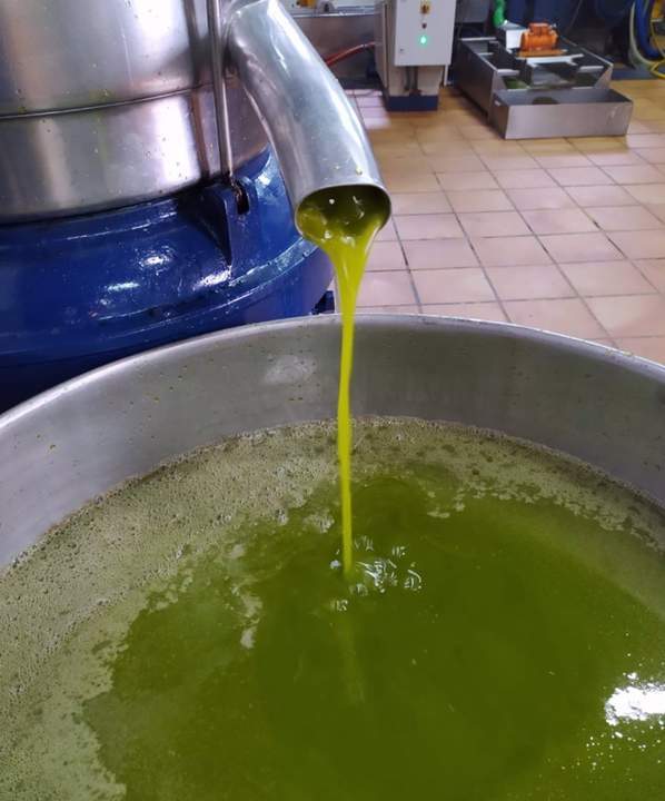 Falling US demand cools Spain's olive oil market as Jaén stocks pile up