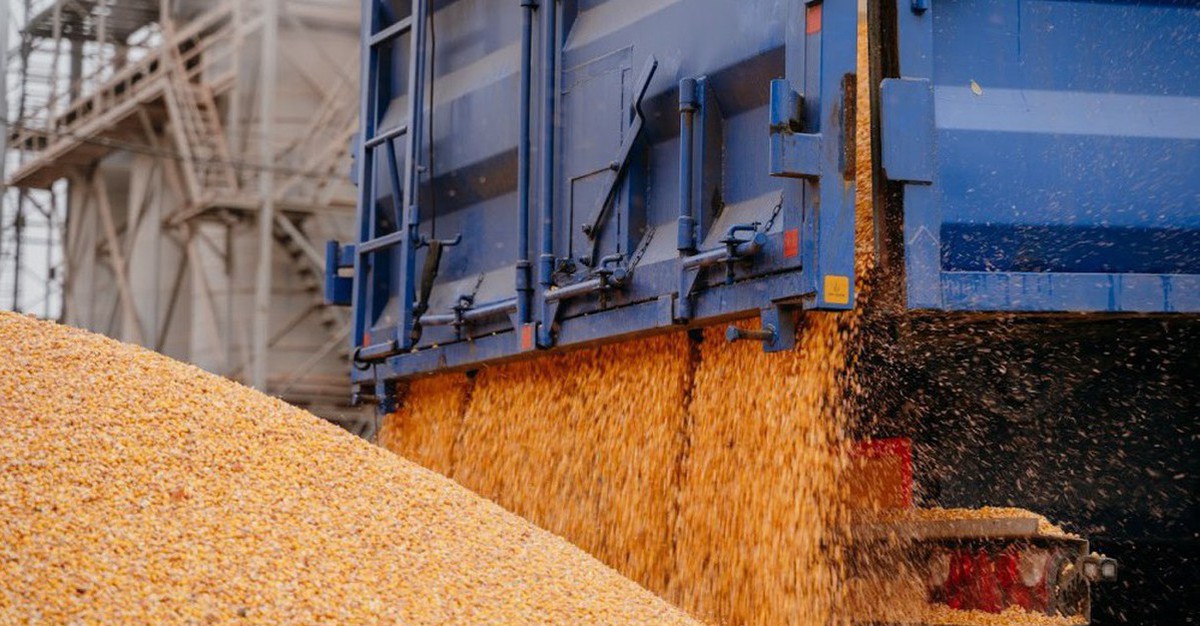 Vietnam’s corn imports reach $1.71 billion as Indian shipments surge
