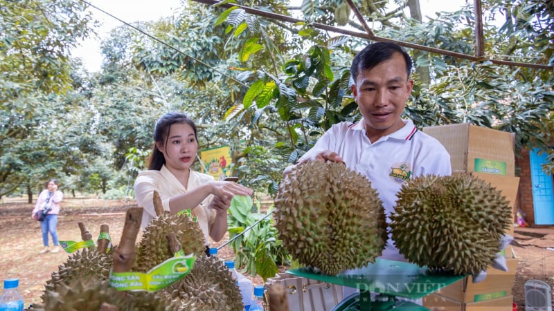 Vietnam expands export traceability system to 9,546 growing-area codes
