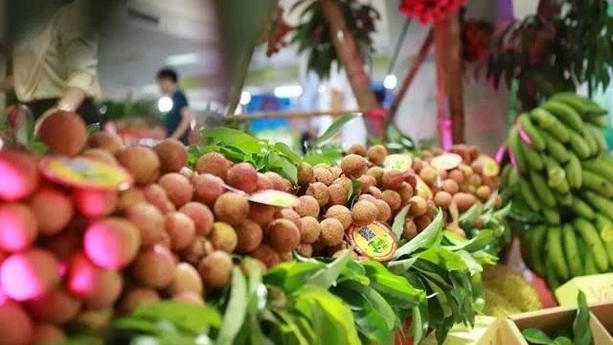 Vietnam’s fruit and vegetable exports to China reach $2 billion in first half of 2026