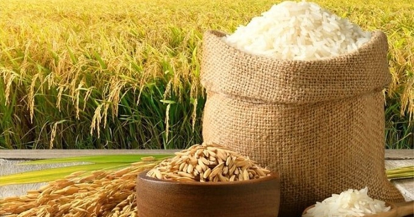 Vietnam paddy prices rise as Senegal suspends new rice import certificates