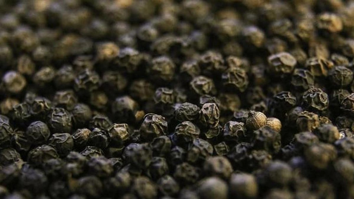Vietnam lidera la producción de pimienta, pero importa por $257,7 millones
