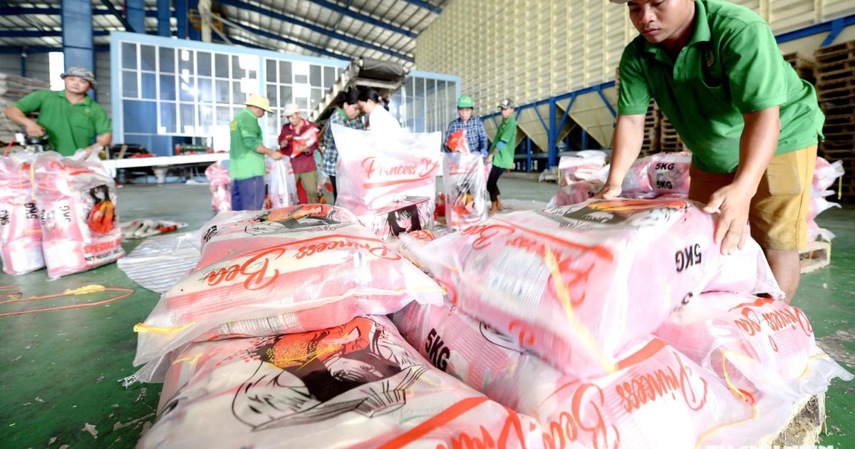 Vietnam plans five-tier credit ratings for rice exporters