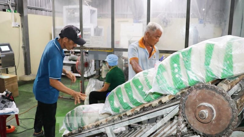 Vietnamese rice export prices jump to 445-450 USD/tonne on Philippine restocking