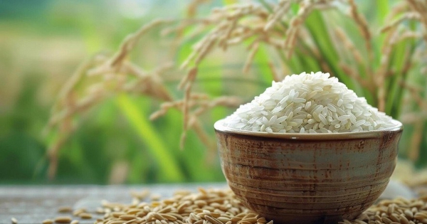 Vietnam rice prices hold firm as Philippines weighs investment-linked import quotas