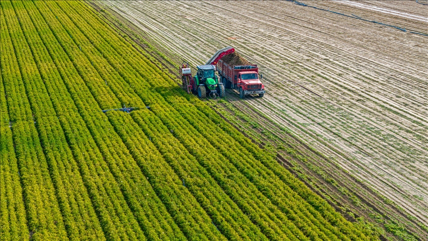 Wheat Nears Two-Year High as Middle East Oil Shock Lifts Grain and Fertilizer Costs
