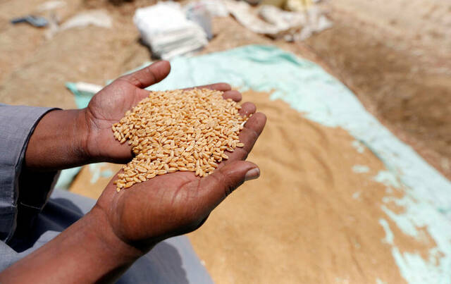 Al Dahra trading arm signs $500 million five-year wheat supply deal with Egypt