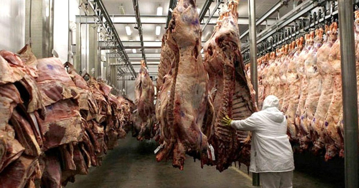 L’Argentine exporte plus de bœuf tandis que la consommation baisse et les importations progressent