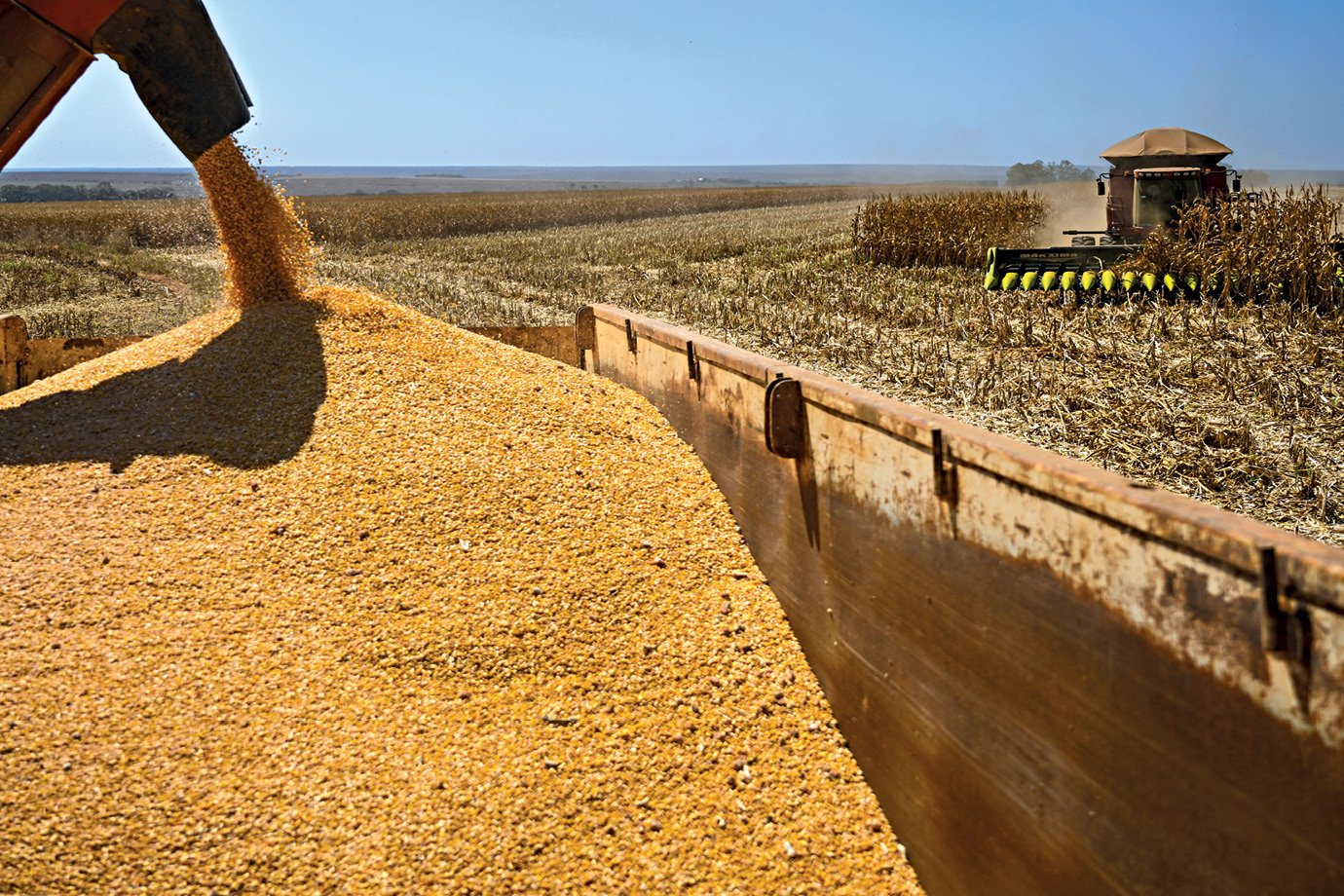 Argentina's 45 Million Tonne Corn Export Push Threatens Brazil's Number Two Spot