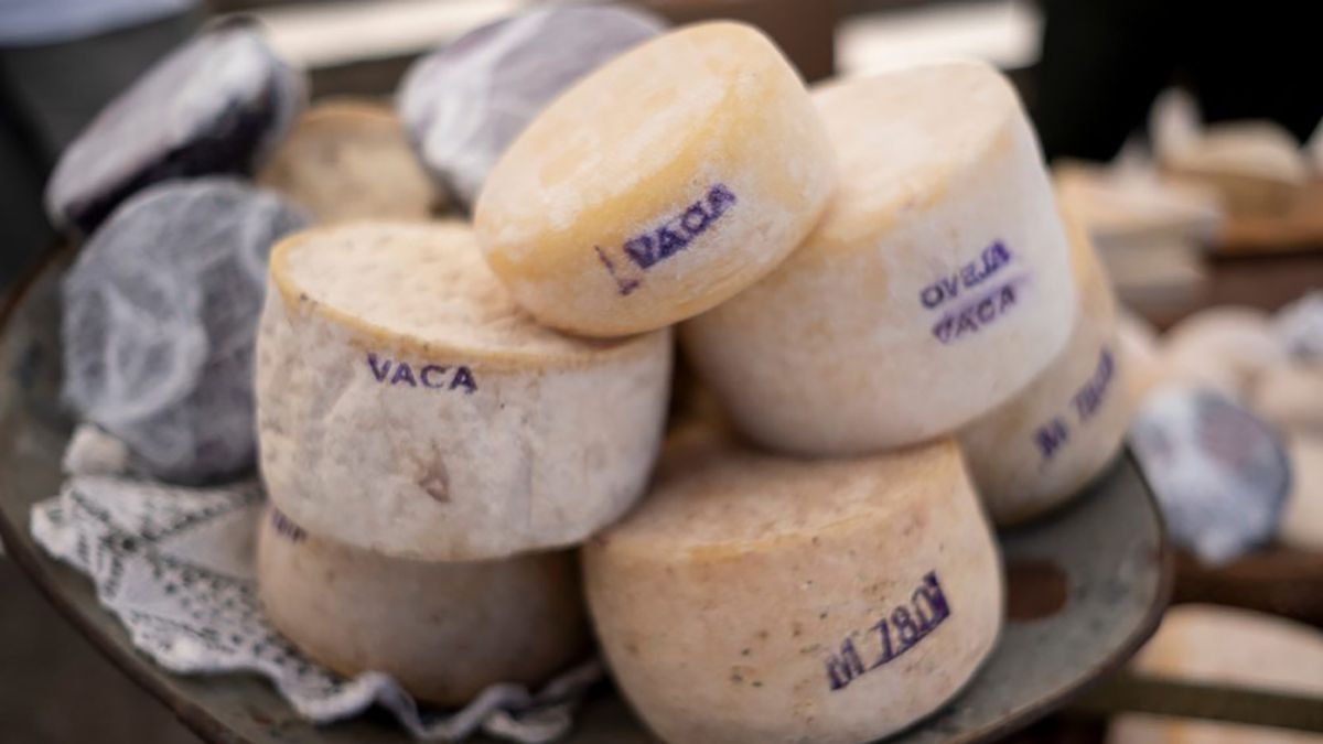 Argentina and Uruguay Raise Their Share of Global Dairy Trade to 4.3%