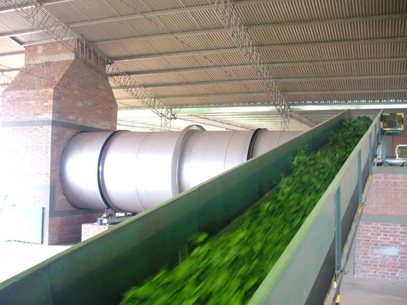 Argentina’s yerba mate exports rise 5.72% as domestic demand weakens