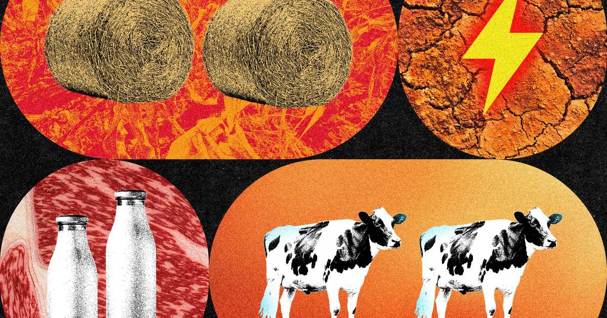 Austria’s Record Drought Cuts Crop Yields and Strains Water, Livestock and Infrastructure