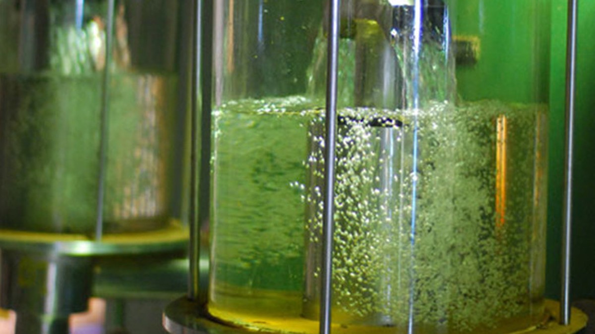 Las ventas de biodiésel en Brasil generarían un récord de 7,8 millones de CBios