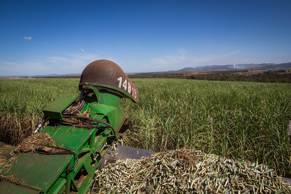 Brazil’s Center-South sugar output falls 12.4% to 10.75 million tonnes