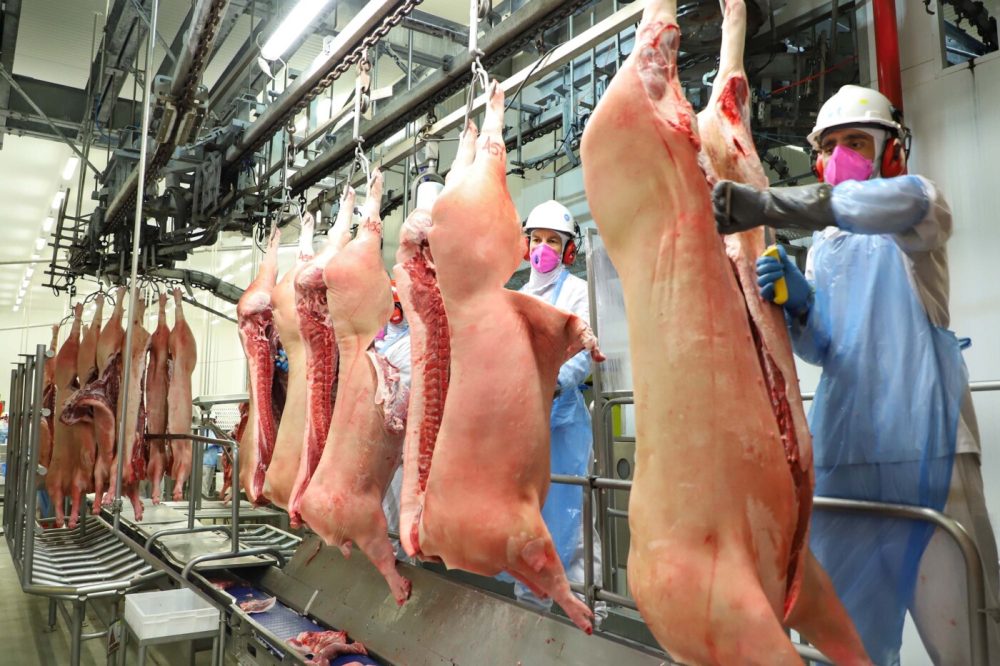 Brazil’s pork exports rise 3.7% in July as Mato Grosso shipments jump