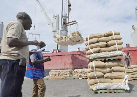 Los ingresos de Camerún por exportaciones de cacao caen un 63% por menores envíos y precios