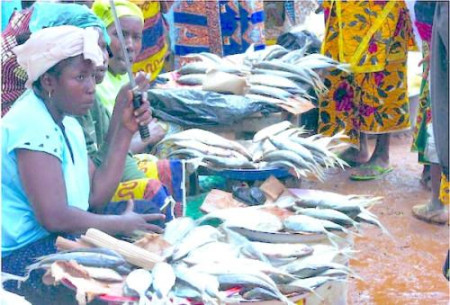 Camerún eleva sus importaciones de pescado y leche en polvo pese al plan de sustitución